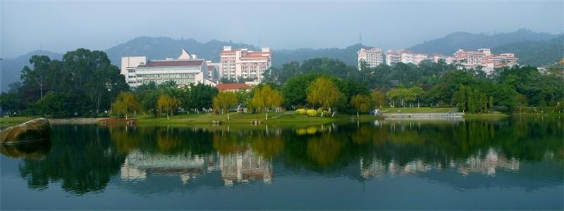 厦门大学风景