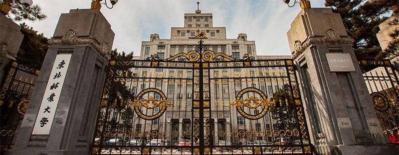 东北林业大学正门